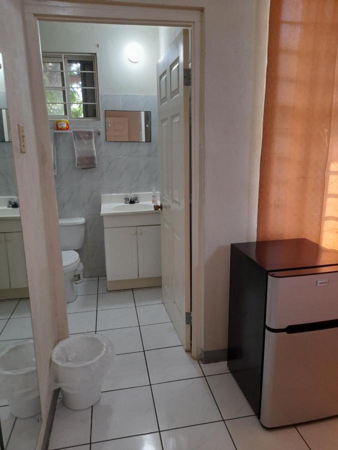 Camelia Rooms Kingston Ngoại thất bức ảnh