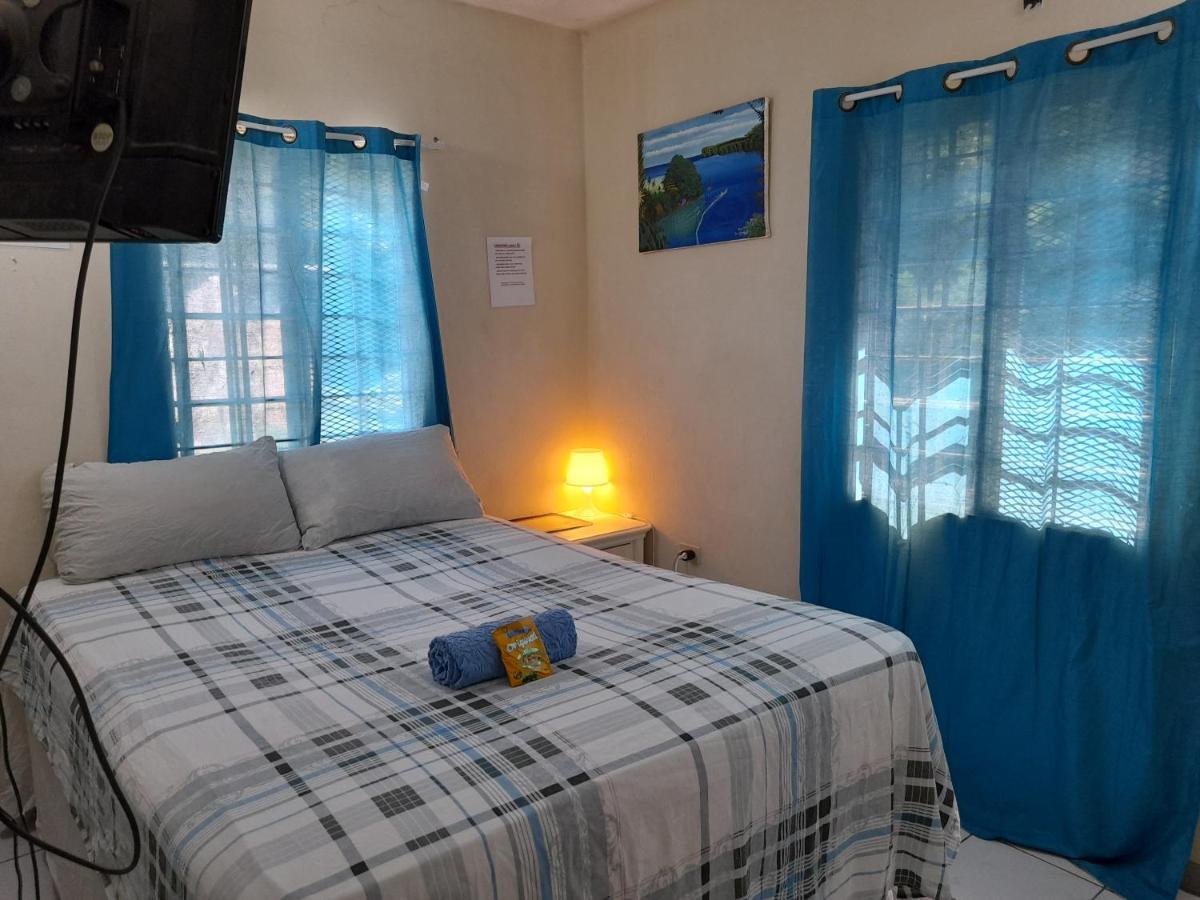 Camelia Rooms Kingston Ngoại thất bức ảnh