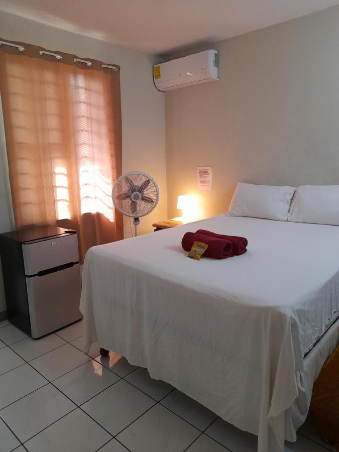Camelia Rooms Kingston Ngoại thất bức ảnh