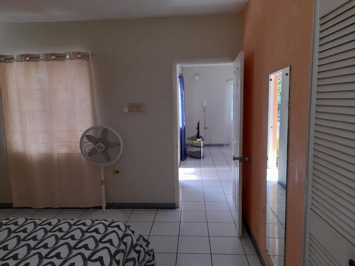 Camelia Rooms Kingston Ngoại thất bức ảnh