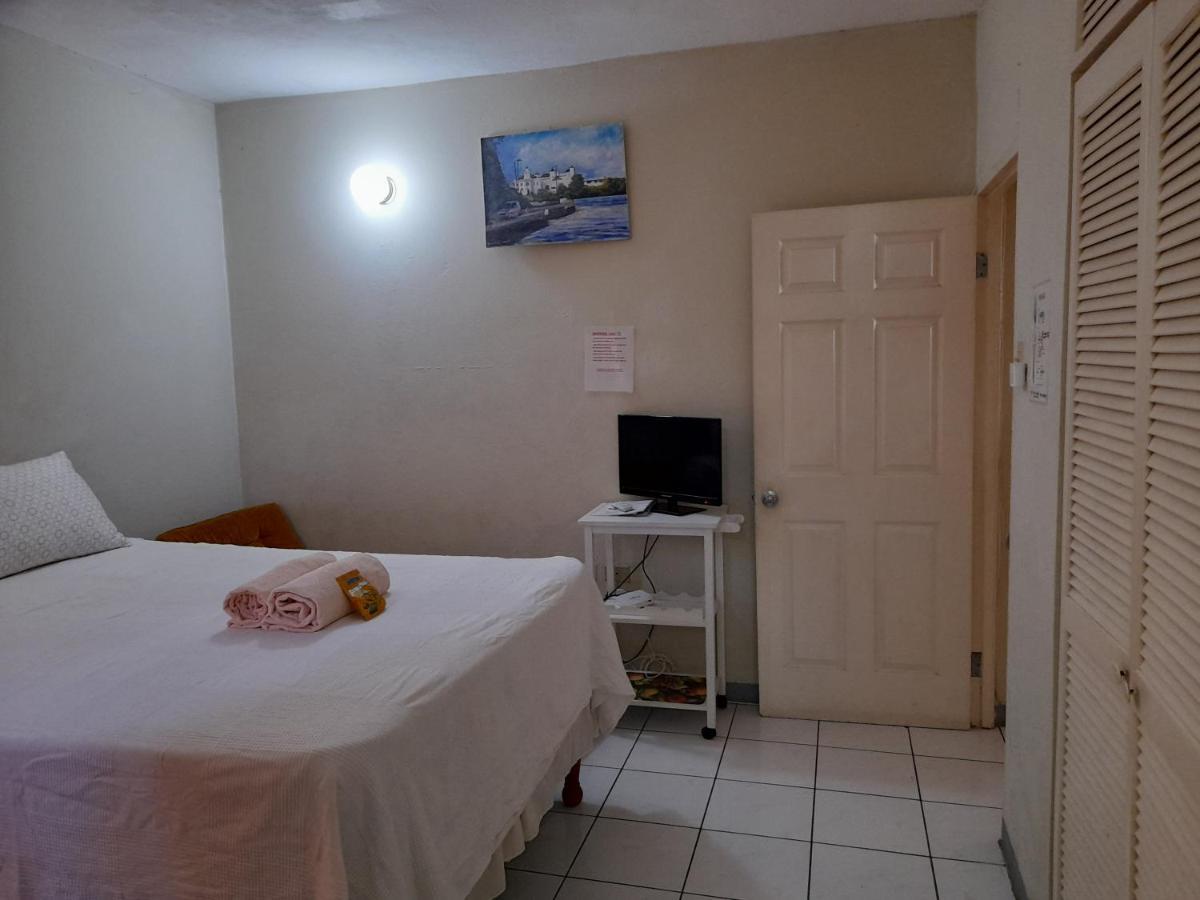 Camelia Rooms Kingston Ngoại thất bức ảnh