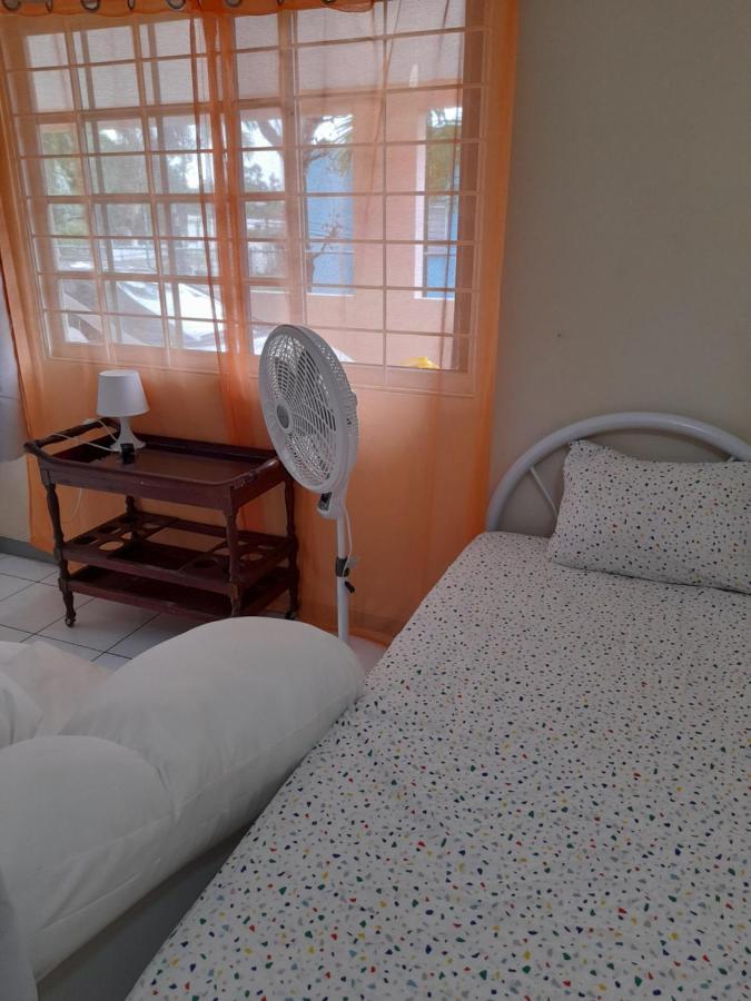 Camelia Rooms Kingston Ngoại thất bức ảnh