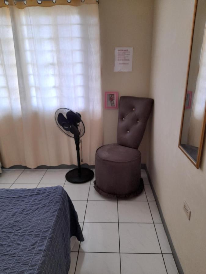 Camelia Rooms Kingston Ngoại thất bức ảnh
