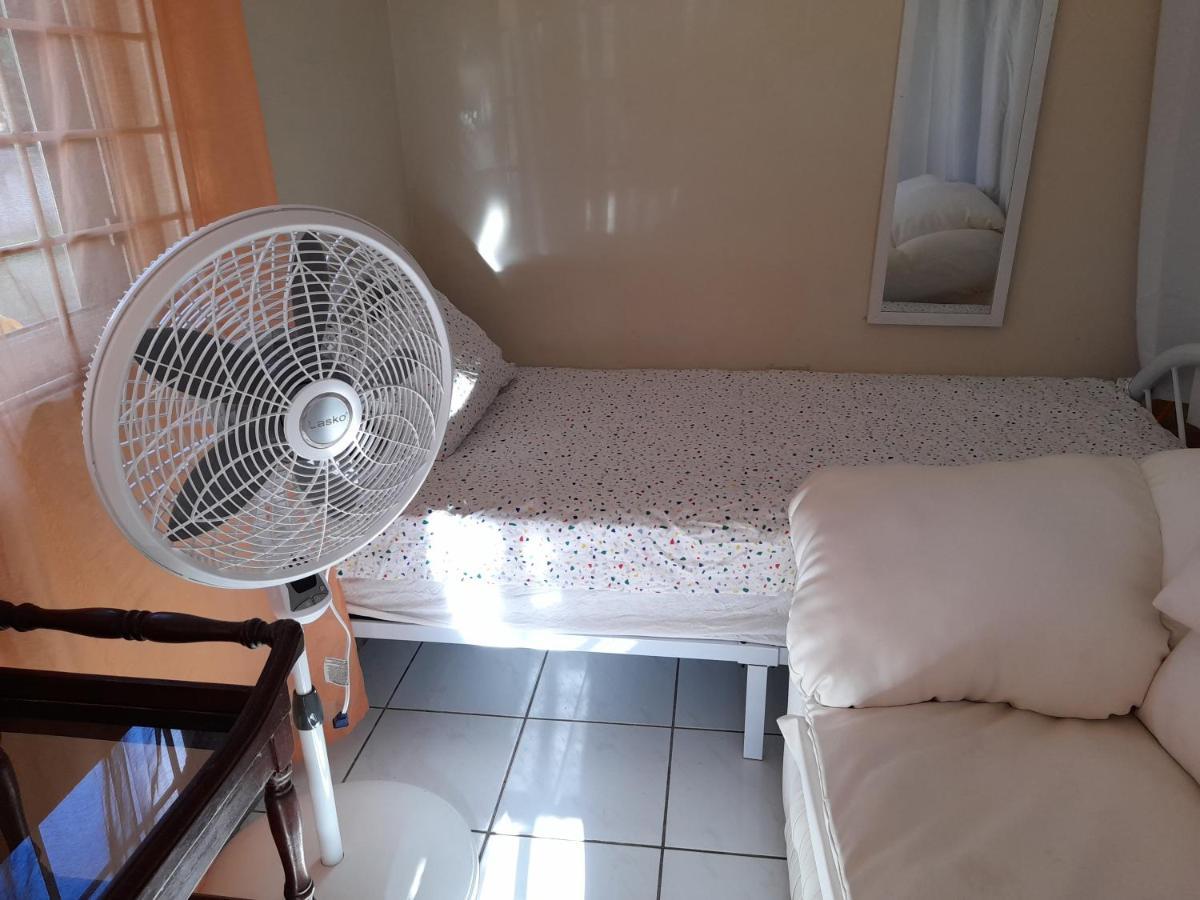 Camelia Rooms Kingston Ngoại thất bức ảnh